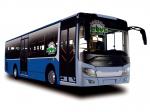 Wuzhoulong FDG6115 HEVG 2012 года